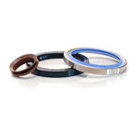 O-ring