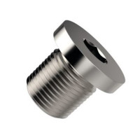 RVS afsluitdop 1/4 BSP