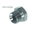 Afdopplug 1/4 BSP